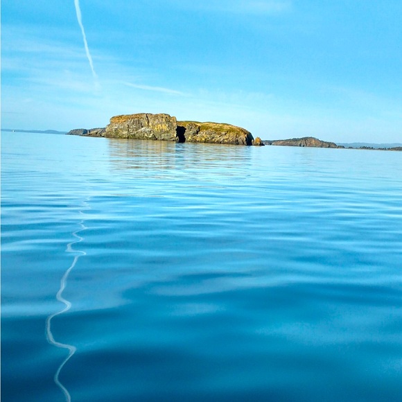 Meet your Posher, Denise - Picture 2 of 4